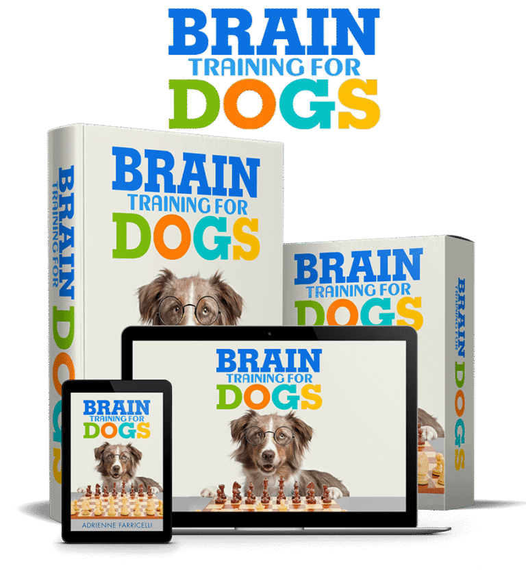 Brain Training for Dogs course shown as a book, box, laptop and tablet bundle